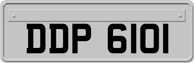 DDP6101