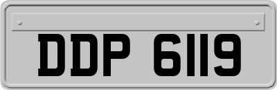 DDP6119
