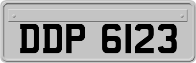 DDP6123
