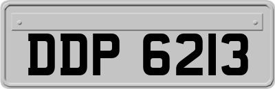 DDP6213