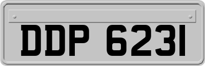 DDP6231