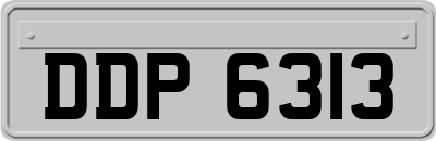 DDP6313