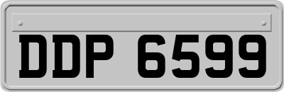 DDP6599