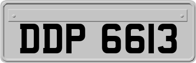 DDP6613