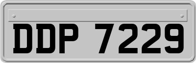 DDP7229