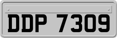 DDP7309