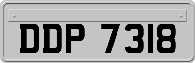 DDP7318