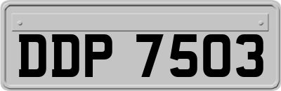 DDP7503