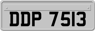 DDP7513