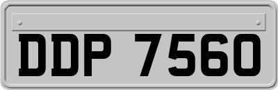 DDP7560