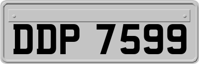 DDP7599