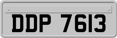 DDP7613