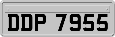 DDP7955