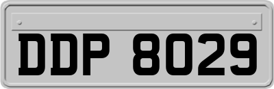 DDP8029
