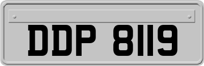 DDP8119