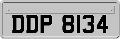 DDP8134