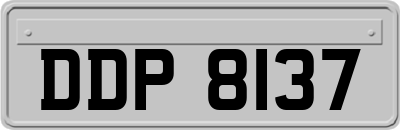 DDP8137