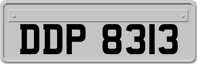 DDP8313