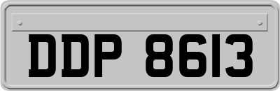 DDP8613