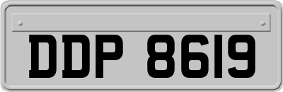 DDP8619