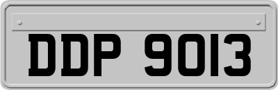 DDP9013