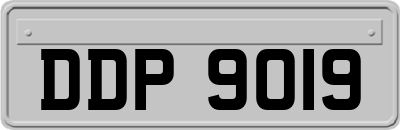 DDP9019