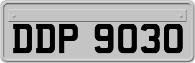 DDP9030