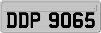DDP9065