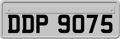 DDP9075