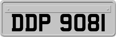 DDP9081