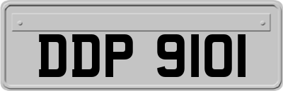 DDP9101