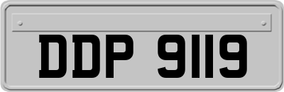 DDP9119