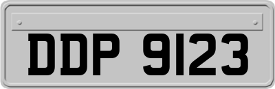 DDP9123