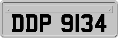 DDP9134