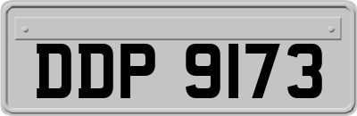 DDP9173