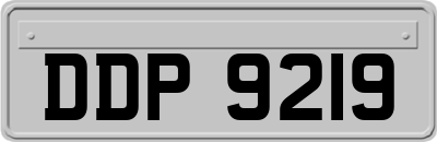 DDP9219