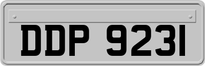 DDP9231