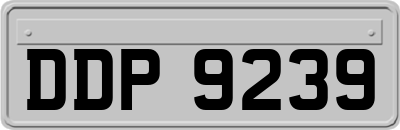 DDP9239