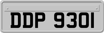 DDP9301