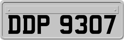 DDP9307