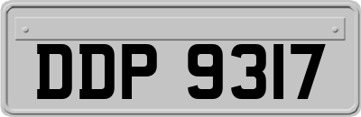 DDP9317