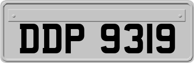 DDP9319