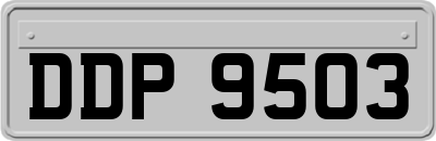 DDP9503