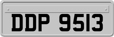 DDP9513