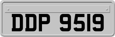 DDP9519