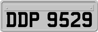 DDP9529