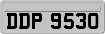 DDP9530