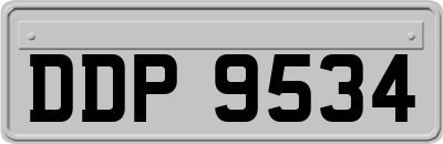 DDP9534
