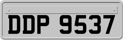 DDP9537