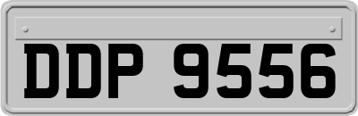 DDP9556